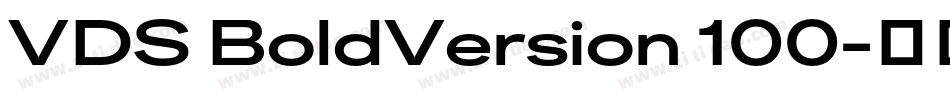 VDS BoldVersion 100字体转换